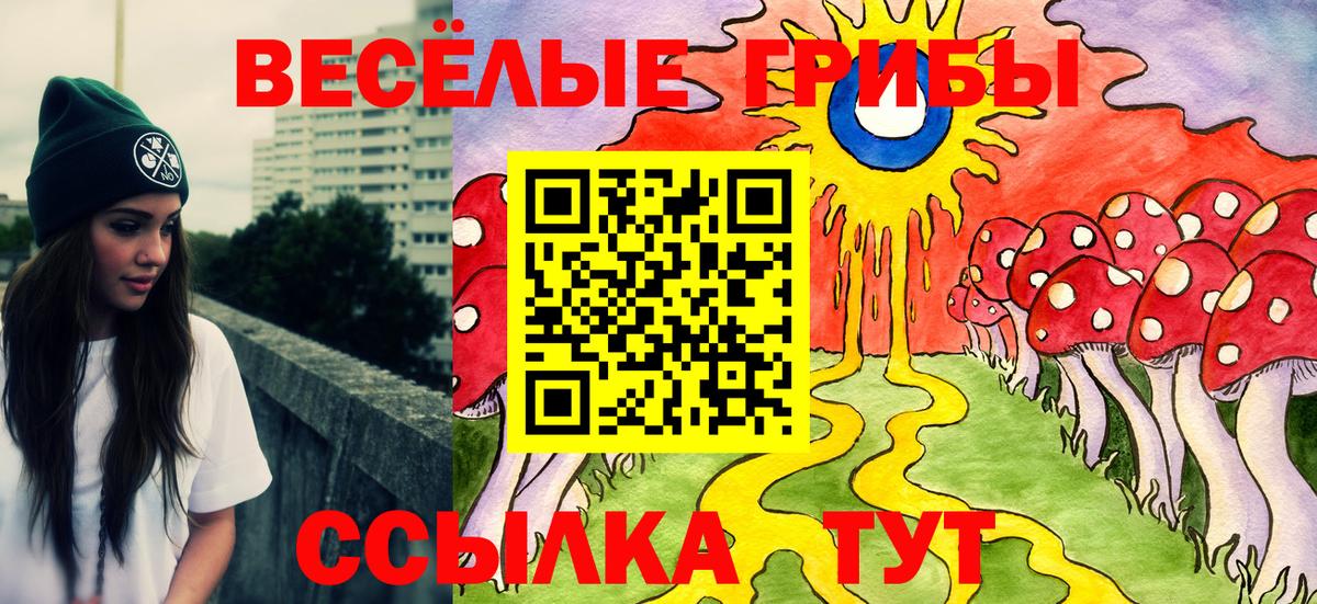 Галлюциногенные грибы Psilocybine cubensis Нижний Тагил