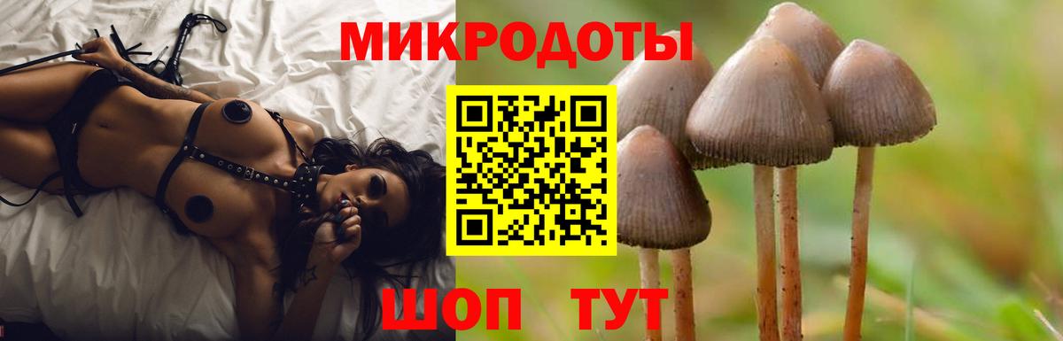 Псилоцибиновые грибы GOLDEN TEACHER  Вход с VPN  Нижний Тагил 